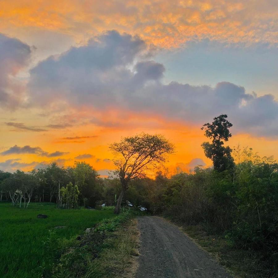 Tommy Homestay Plambi Buitenkant foto