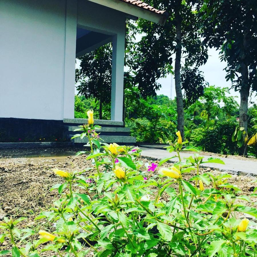 Tommy Homestay Plambi Buitenkant foto