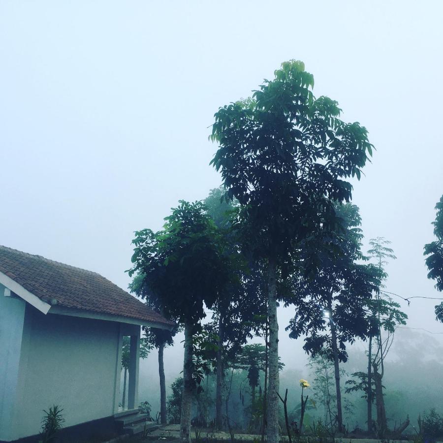 Tommy Homestay Plambi Buitenkant foto