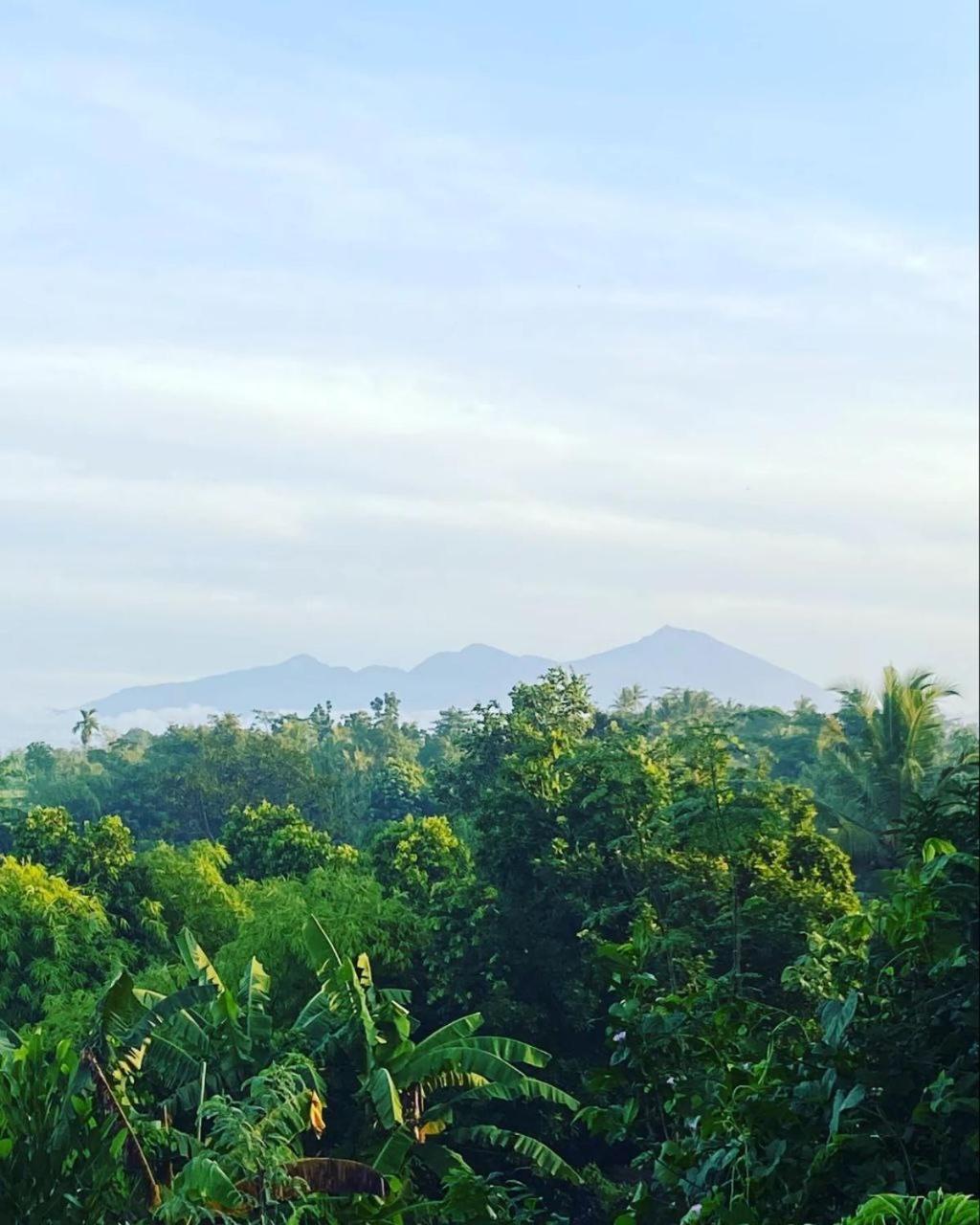 Tommy Homestay Plambi Buitenkant foto
